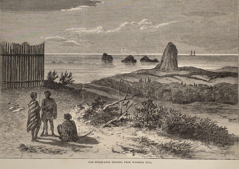 1863 NZ Engraving – Bream Head & Sugar-Loaf Islands – Illustrated London News Carousel 3