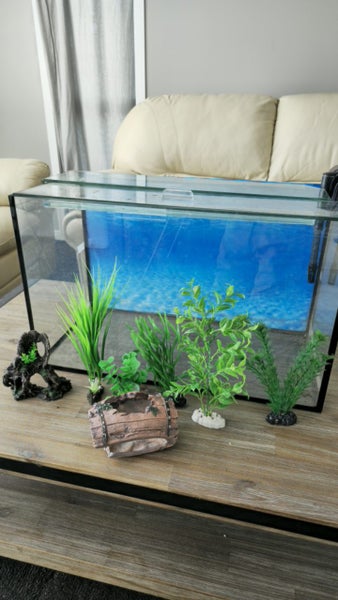 Aquarium - $1 Reserve - Grab a bargain! Carousel 1