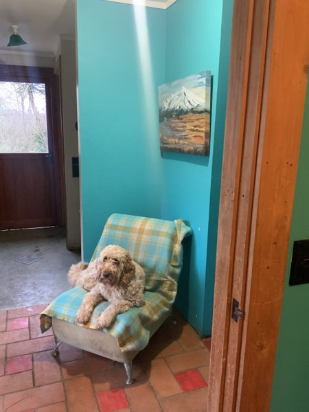 Ararimu, 2 bedrooms64245532994817111