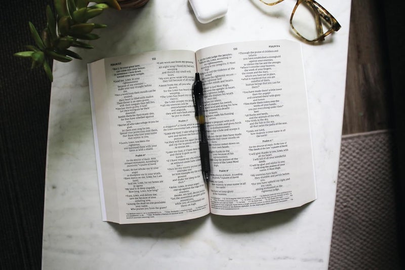 NIV, Holy Bible, Larger Print, Economy Edition, Paperback, Teal/Tan, Comfort Carousel 2