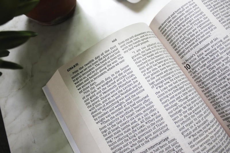 Niv, Holy Bible, Larger ­Print, Economy Edition, ­Paperback, Blue, Comfort Carousel 3
