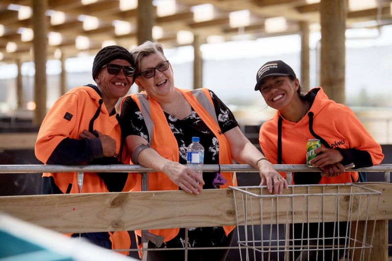 Pamu - Farms of New Zealand Carousel 1