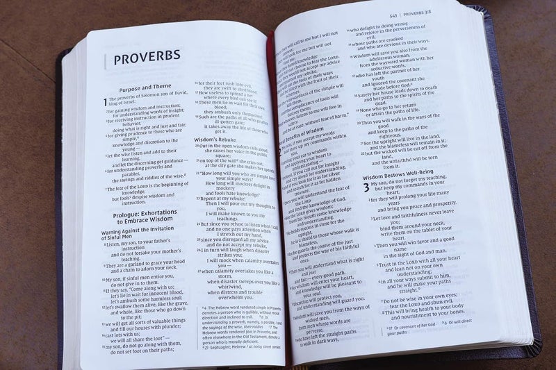 NIV, Thinline Bible, Bonded Leather, Burgundy, Red Letter Edition, Comfort Print Carousel 2