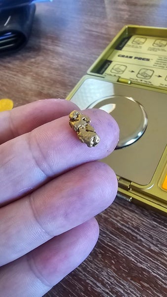 1.6g gold nugget Carousel 2