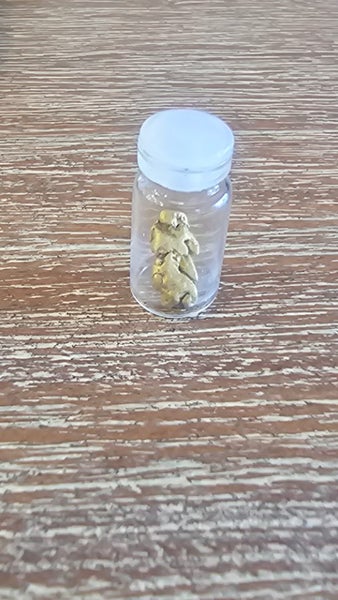 1.6g gold nugget Carousel 4