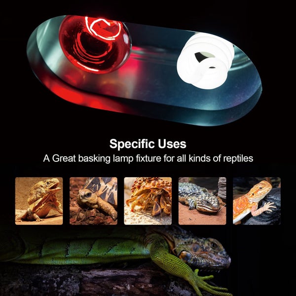 Dual Reptile Light Fixture on Afterpay64263252113665113