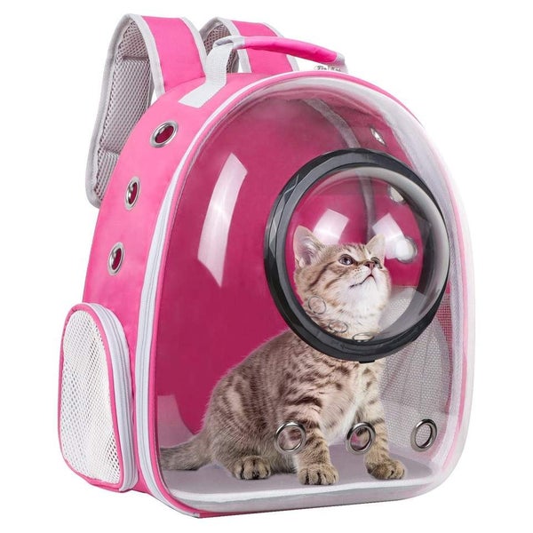 4x Cat backpacks NEW BULK SALE Carousel 1