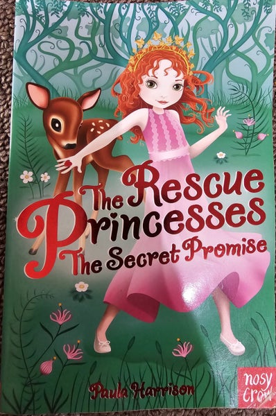The Rescue Princesses- The Secret Promise Carousel 1