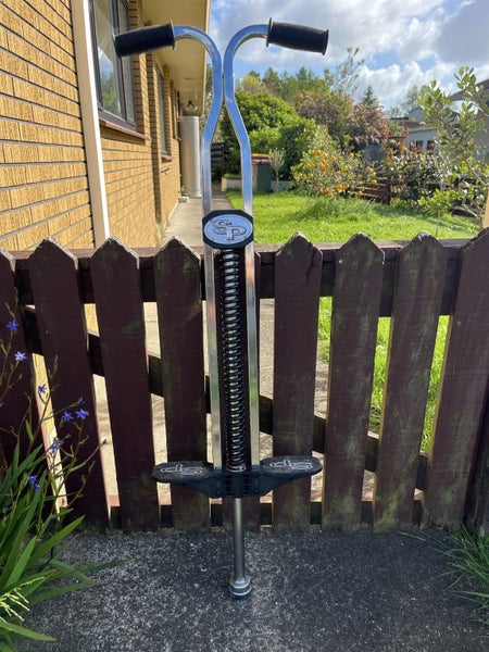 Flybar Super Pogo Carousel 1