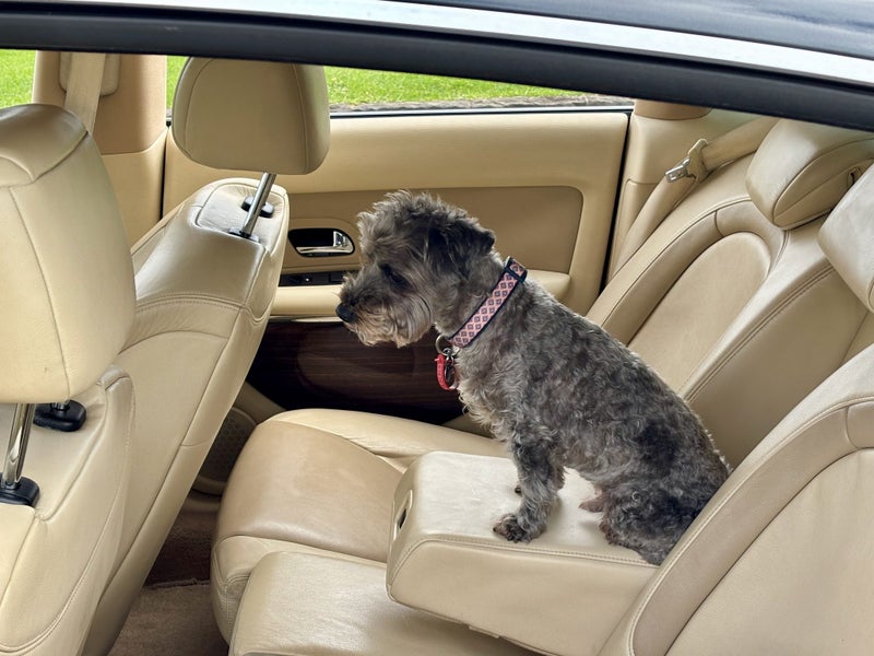 2007 Citroen Other 2007 Model with every optional64141745961603114