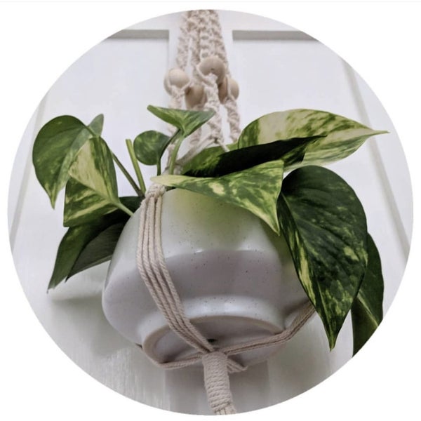 Make your own macrame plant hanger kit Carousel 1