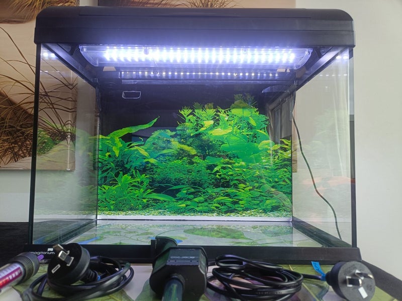 Aqua One Imagitarium 38L fish tank Carousel 1
