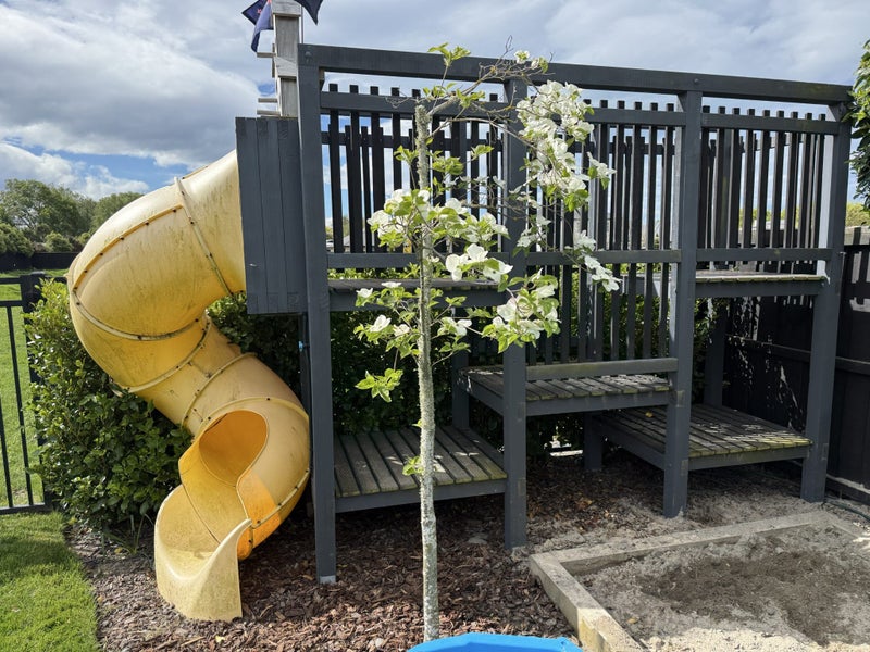 Kids playhouse/fort including twisty slide and sprinkler system (for hydroslide) Carousel 1