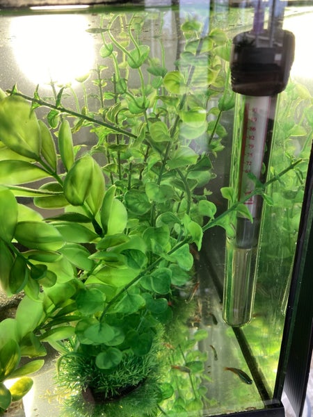 Aqua One Aquarium- Ecostyle 47 Carousel 13