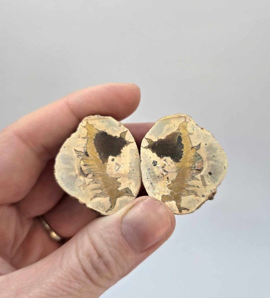 Thunder Egg Pair Carousel 1