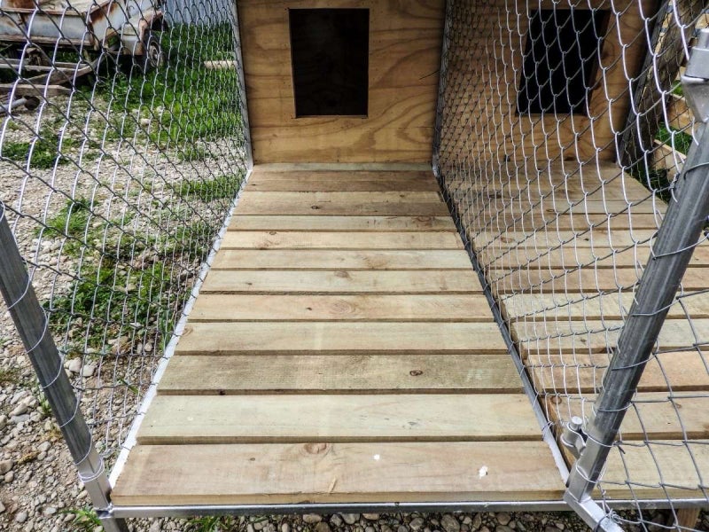Double dog kennels and runs Carousel 6