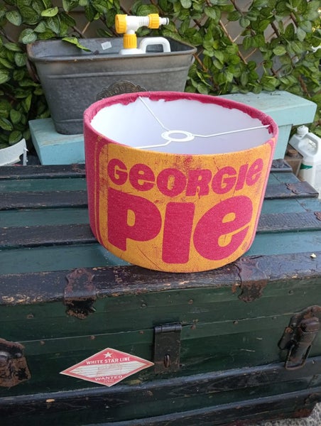 Georgie pie ,Lamp shade Carousel 1