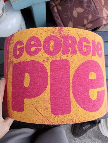 Georgie pie ,Lamp shade Carousel 2