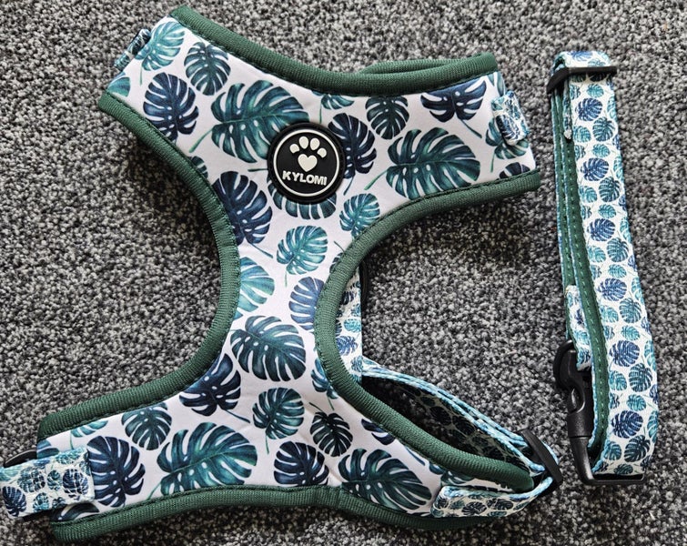 KYLOMI MEDIUM HARNESS & COLLAR TROPICAL PRINT X 2 PEICE SET64524897118721110