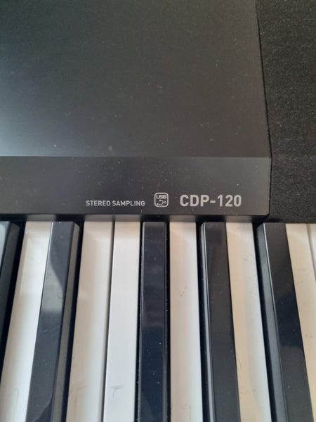 Casio CDP-120 Keyboard - 88 keys64142082233986111