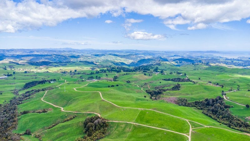 Dairy all in one plus extras64141771311362112