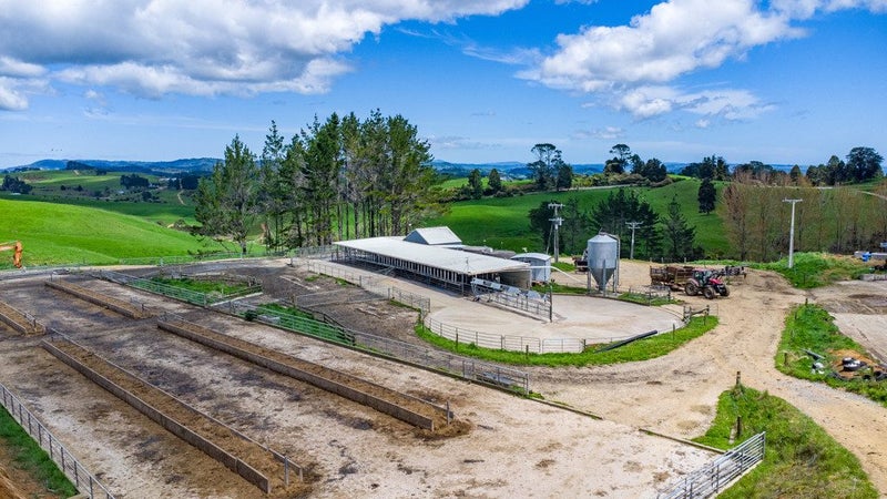 Dairy all in one plus extras64141771311362113