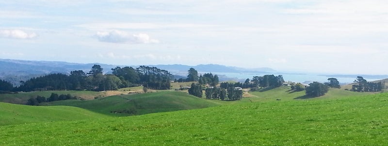 Dairy all in one plus extras64141771311362114