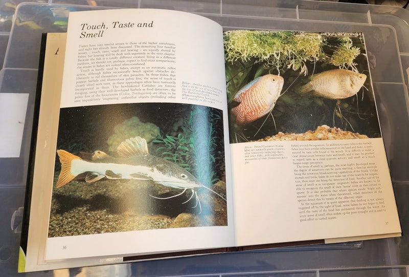 Aquarium fishes an illustrated guide - D Mills64757515202051111