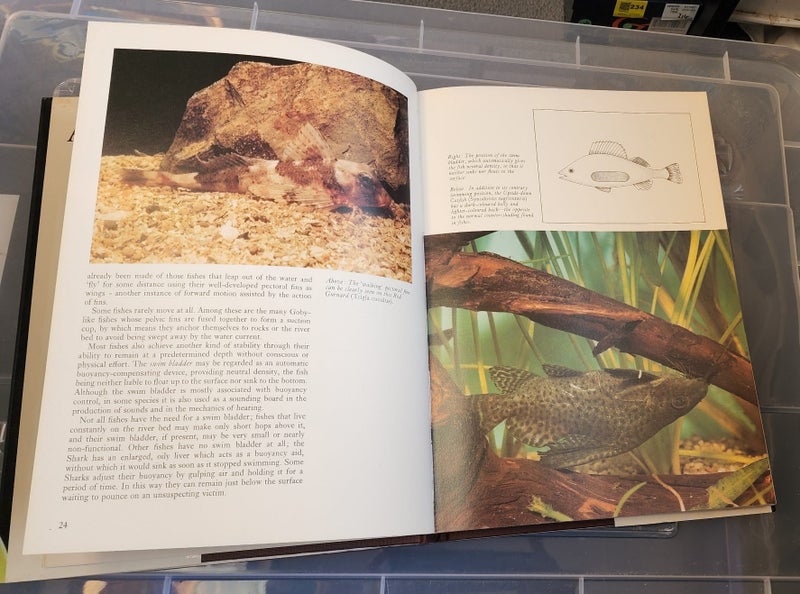 Aquarium fishes an illustrated guide - D Mills64757515202051112