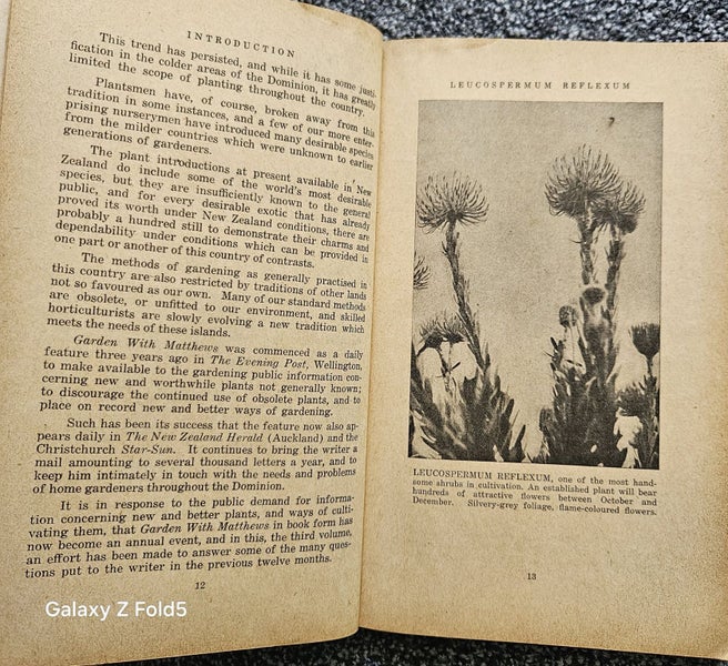 GARDEN WITH MATTHEWS- VOLUME THREE64525142689537112