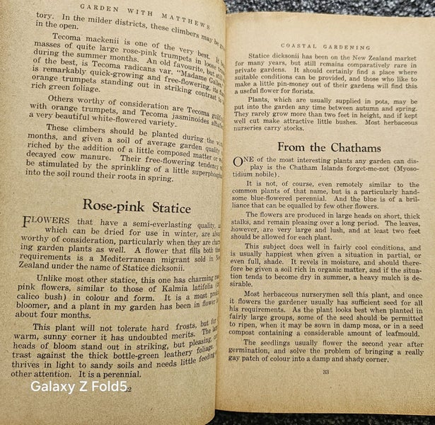 GARDEN WITH MATTHEWS- VOLUME THREE64525142689537113