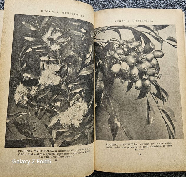 GARDEN WITH MATTHEWS- VOLUME THREE64525142689537114