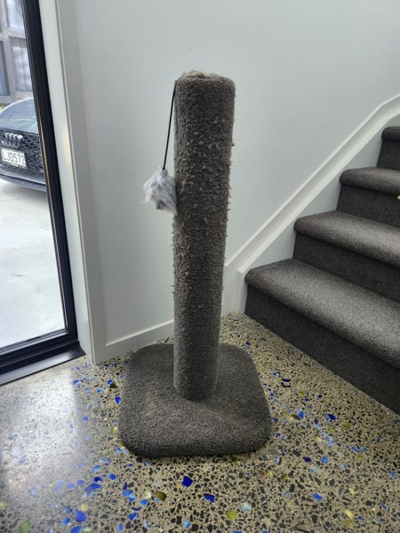 Kat Attack Pole only $40 Carousel 1