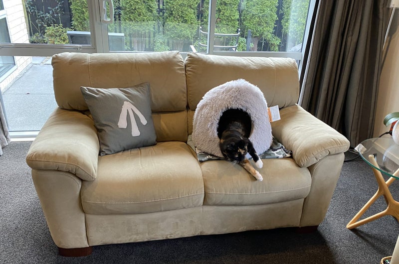 2 & 2.5 Seater Lounge Suite – Fawn Faux Suede, Wooden Feet, Good Condition64337257920386112