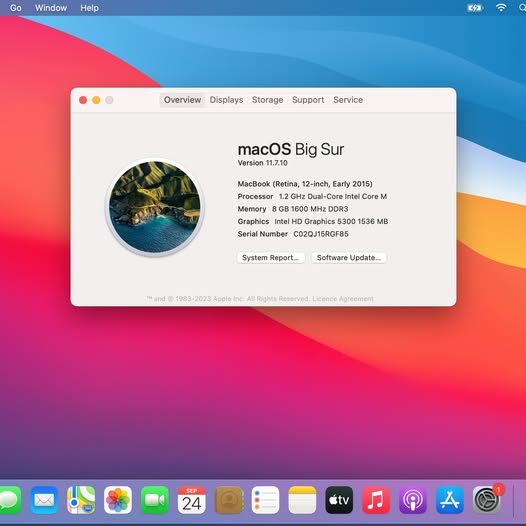Apple MacBook 12-inch (Gold, Early 2015)64142340186882114