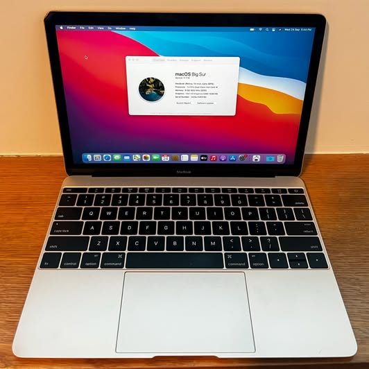 Apple MacBook 12-inch (Gold, Early 2015)64142340186882111