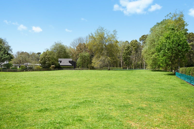 Image 2 of 12