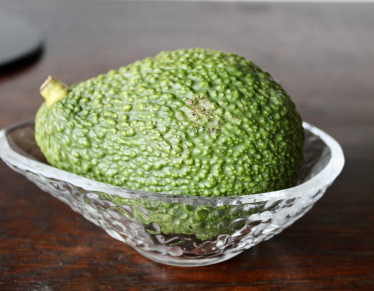 Dartington Crystal avocado dishes Carousel 2