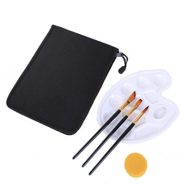 Hod Health & Home 12Pcs Paint Brush Set Palette With Brushes Carrying Case For W Carousel 2