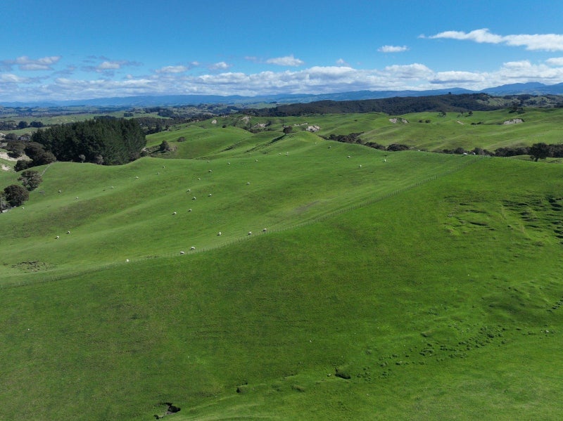 Location and Scale64215965059459110