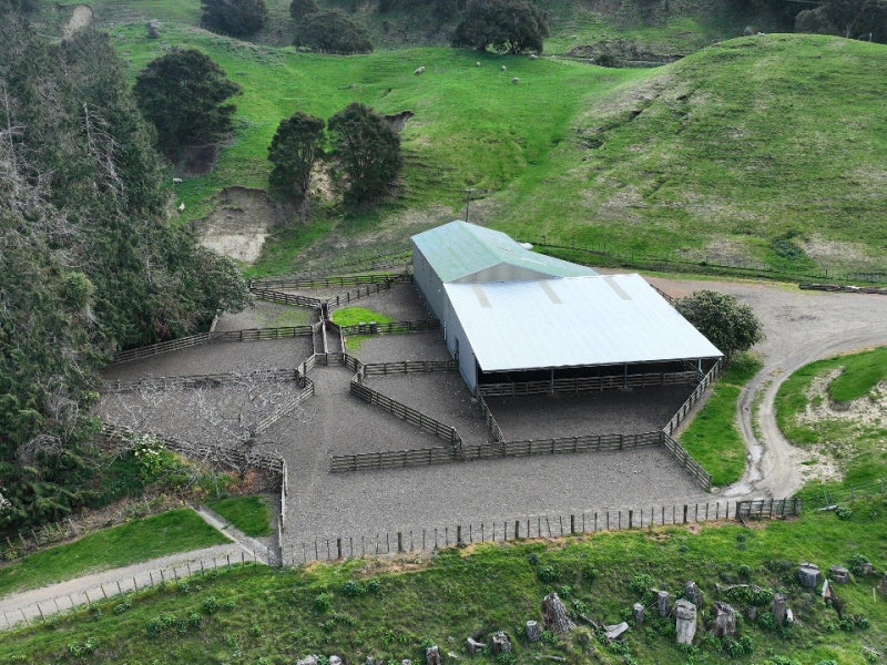 Location and Scale64215965059459111