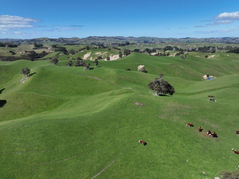 Location and Scale64215965059459113