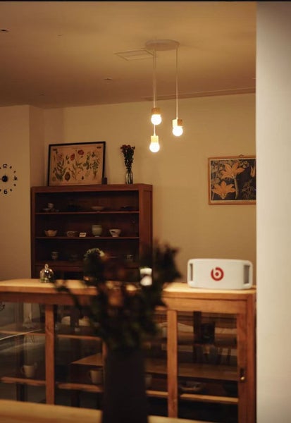 Pendant Light Carousel 1