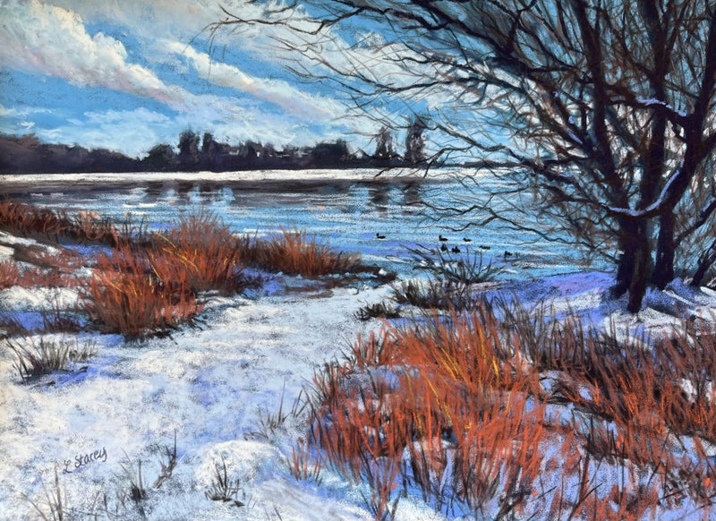 Original Pure Pigment Pastel Painting by NZ Artist Linelle Stacey Carousel 1