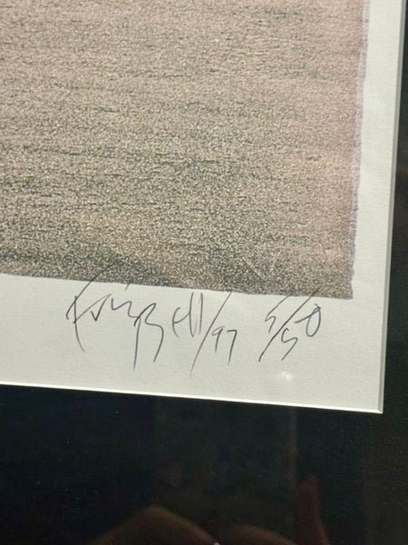 Dick Frizzell Print ''Mickey to Tiki Tu Meke (New Frame & Glass) Carousel 3