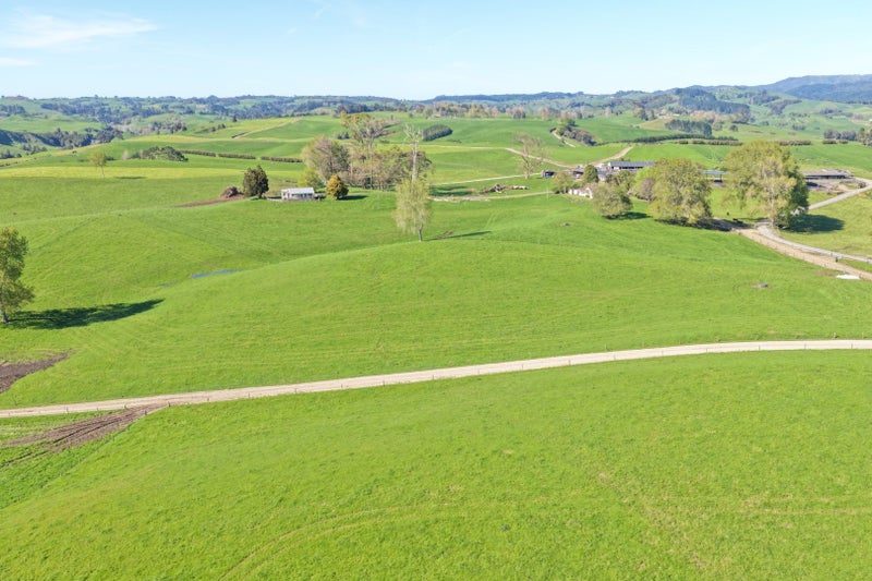 Larger Scale Dairy Investment64144067107843112