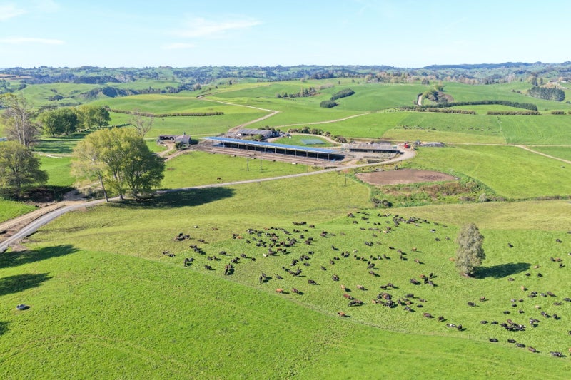 Larger Scale Dairy Investment64144067107843113