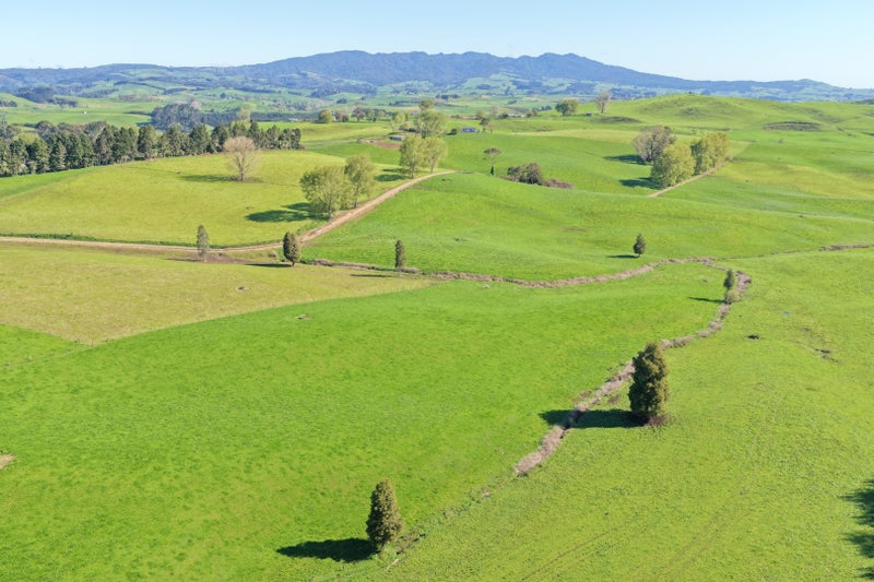 Larger Scale Dairy Investment64144067107843114