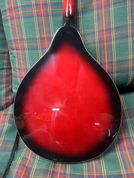 Brand New Irin Electric 8 Strings Mandolin In Redburst Carousel 5