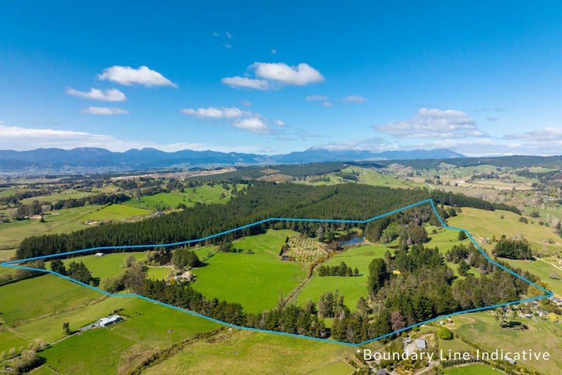 Where Dreams Take Root64151673584387110